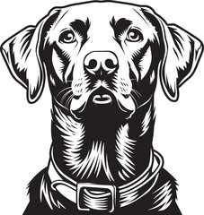Fototapeta premium Labrador Retriever dog clipart, Labrador Retriever black vector