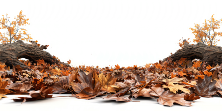 visualization of an oak forest floor in autumn, rich textures of fallen leaves and tree trunks.