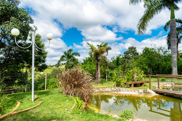Wooden bridge over a garden pond. Ornamental plants. Horizontal.