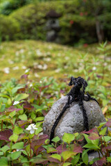 鎌倉246　海蔵寺2　留め石