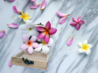 Piece of white marble with colorful flowers in a wooden box