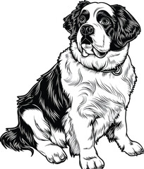 St. Bernard dog clipart, St. Bernard black vector