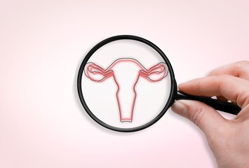 Checkup uterus and reproductive system for women's health