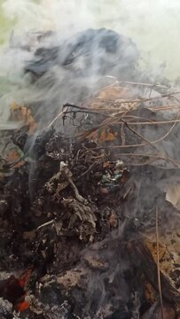 burning tree waste in the yard