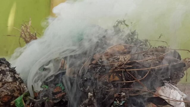 burning tree waste in the yard