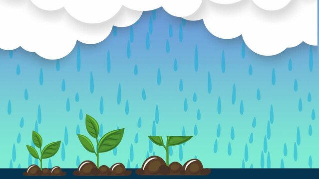 Go green, save the earth by reforesting, planting trees and plants