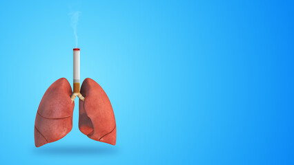 Human lungs damage due to the harmful effects of smoking