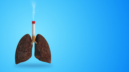 Human lungs damage due to the harmful effects of smoking