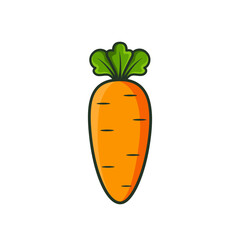Carrot cartoon flat illustration. Stylized vector orange vegetable on white background.