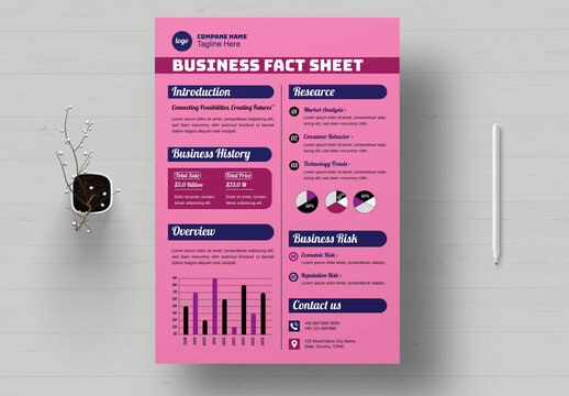 Business Company Fact Sheet Template
