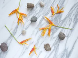 Zen basalt stone and tropical paradise flowers on white marble background.