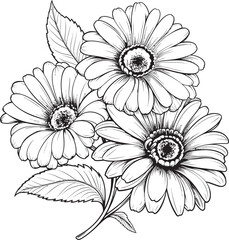 Elegant Bloom Gerbera Flower Design Nature&rsquo;s Jewel Gerbera Icon Graphic