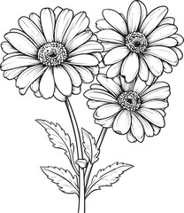 Radiant Beauty Stylish Gerbera Vector Logo Petal Splendor Elegant Gerbera Icon Design