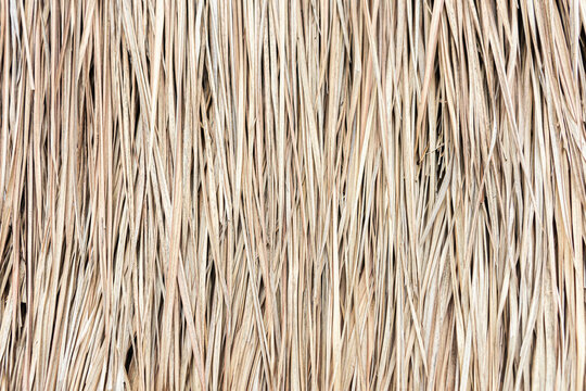 texture of straw