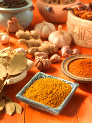 Spices, Gewürze, Knoblauch, Curry, Gewürzsammlung, Ingwer, afrikanische Gewürze,