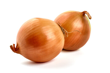 Onion bulbs, isolated on white background