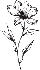 Sleek Line Art Petal Minimalist Logo Modern Floral Symbol Iconic Graphic