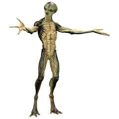 3D Rendering Green Alien on White