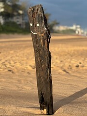piece of trunk with eyes and mouth painted on the beach sand