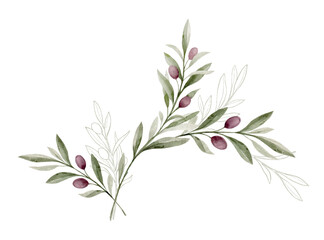 Watercolor vector bouquet with olive branches and green foliage. Hand painted botanical illustration. Greenery clipart for greeting cards, decoration, invitation, stationery design.