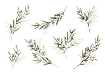 Watercolor vector set of branches with olives and line art. Green clipart for greeting cards, decoration, invitations, stationery design. Hand-painted botanical illustration.