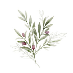 Watercolor vector bouquet with olive branches and green foliage. Hand painted botanical illustration. Greenery clipart for greeting cards, decoration, invitation, stationery design.
