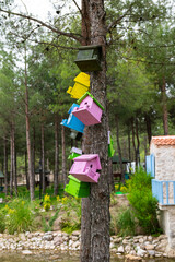 Colourful bird nests hanging from a tree in the city park.