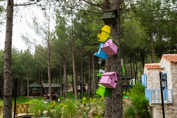 Colourful bird nests hanging from a tree in the city park.