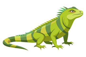 Fototapeta premium Green iguana isolated on white background. Illustration of lizard with striped body and detailed scales. Concept of wildlife, exotic animal, and tropical fauna. Print, icon, logo, element for design.