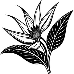 leaf flower silhouette vector illustration svg file
