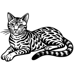 wolf silhouette vector illustration svg file
