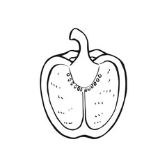 Pepper half. Hand drawn vector illustration in outline style.