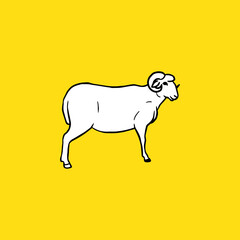 Vintage Sheep Side. Sketch and Drawing Style.