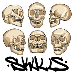 death skulls head hand drawn cartoon illustration abstract design pen drawing digital painting flat colors