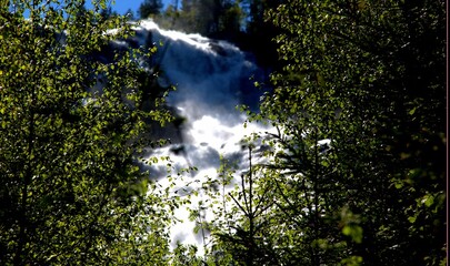waterfall in the forest