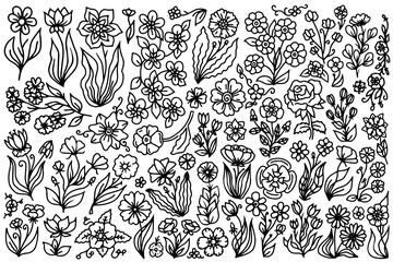 Fototapeta premium Line art floral set, hand drawn flower design elements. flowers with leaves contour drawings.