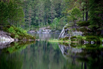 lake in the woods