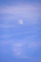 明るい時間の月