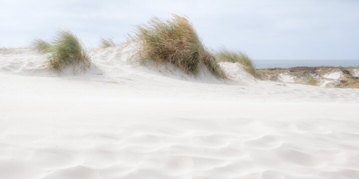 Sand dunes on the beautiful white beach at Dueodde in Bornholm, Denmark.