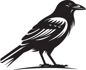 Chic Crow Illustration Minimal Logo Icon Sleek Crow Art Minimal Vector Graphic