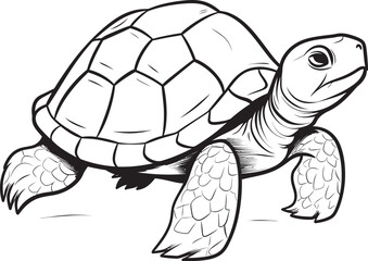 Simple Line Art Turtle Icon Minimalistic Graphic Illustration Clean and Stylish Turtle Icon Elegant Vector Concept