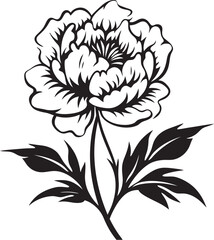 Modern Peony Symbol Whimsical Element Minimalist Peony Icon Clean Art