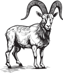 Whimsical Ibex Emblem Stylish Logo Design Minimalist Wild Ibex Vector Contemporary Design Concept