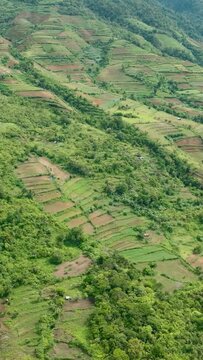 Aerial view of valley with farmland and agricultural land in mountainous area. Negros, Philippines
