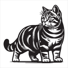 American Shorthair cat, vector illustration, silhouette