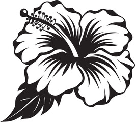Tropical Hibiscus Delight Serene Iconic Imagery Hibiscus Botanical Symphony Geometric Logo Styling