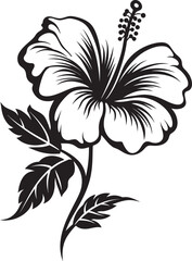 Hibiscus Floral Elegance Creative Icon Evolution Hibiscus Vector Art Minimal Graphic Structure