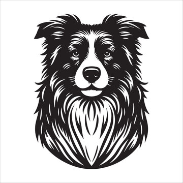 recommend clip art: Border Collie dog, vector illustration, silhouette