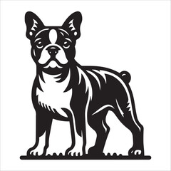 Boston Terrier dog, vector illustration, silhouette