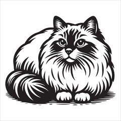 Birman Cat, vector illustration, silhouette
